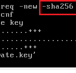 cpopenssl command accepting -sha-256 option